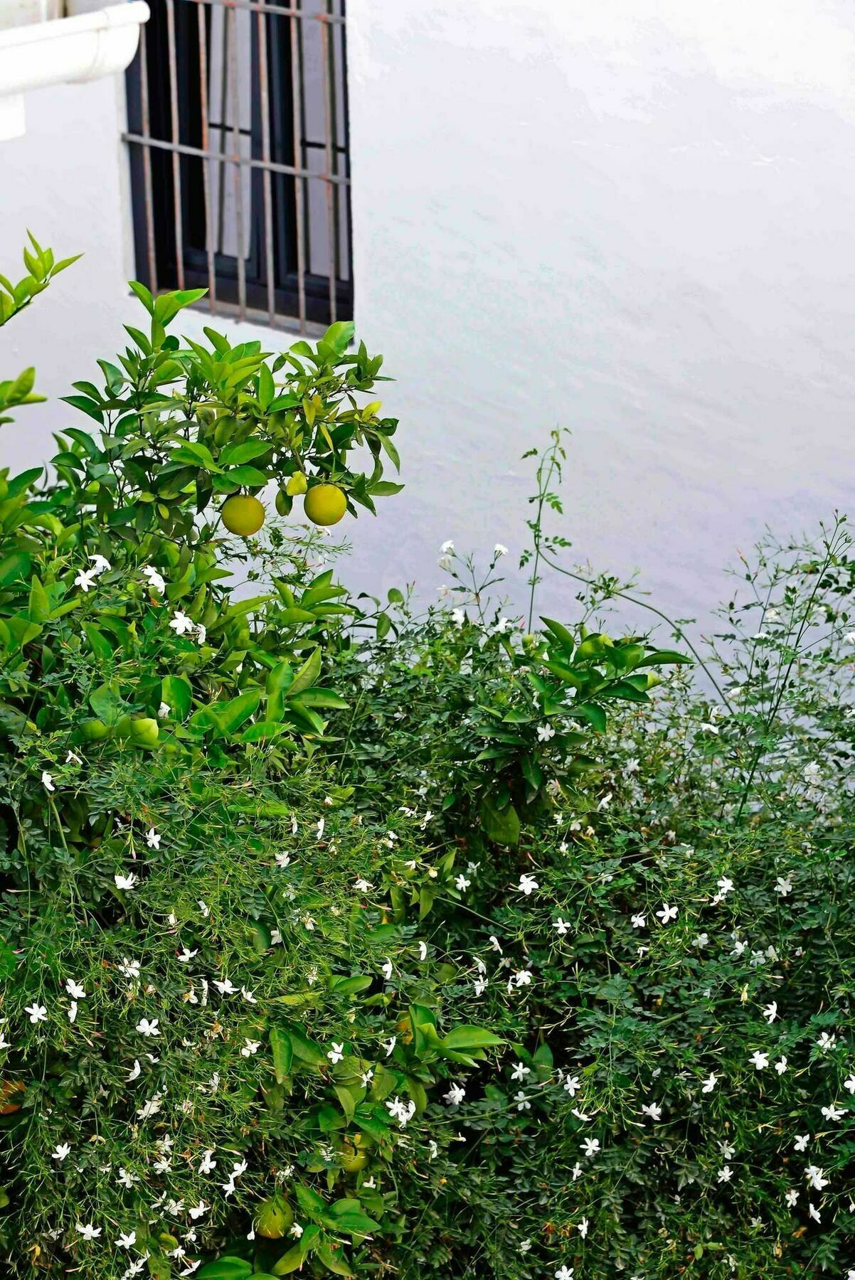 Selecta Apartments Los Venerables Seville Exterior photo
